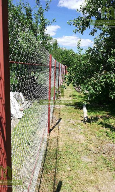 Металлический забор для дачи из сетки