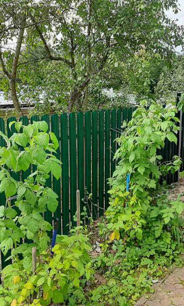 Фото забора из металлического штакетника, Пушкинский р-н, с. Братовщина